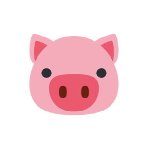 Pienso Porcino (Varios tipos)