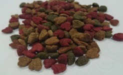 Pienso para gatos. Alimento balanceado para gatos. Tienda online ococan